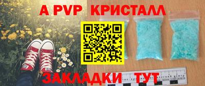 эйфоретик Славгород