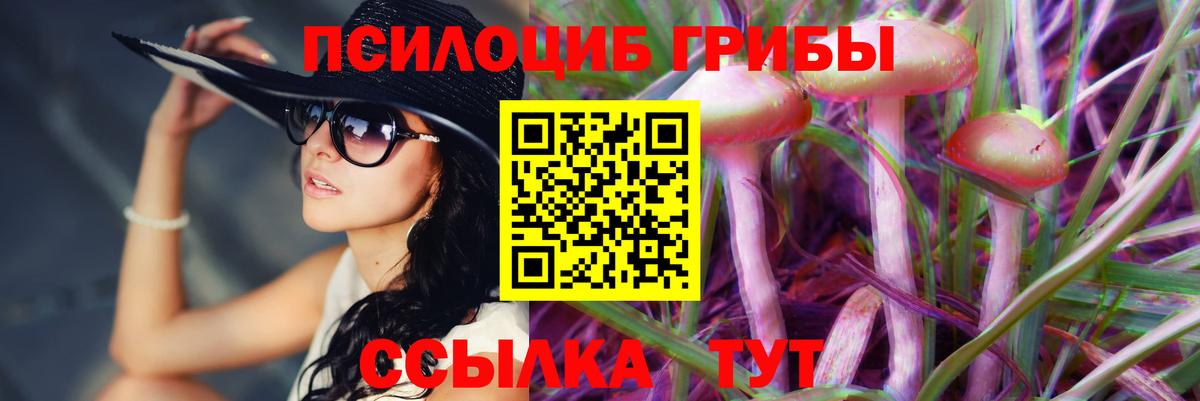 купить наркотики цена  Вход с VPN  Печора  Галлюциногенные грибы Psilocybine cubensis 